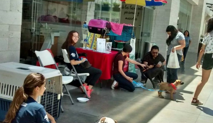 Nuestros alumnos